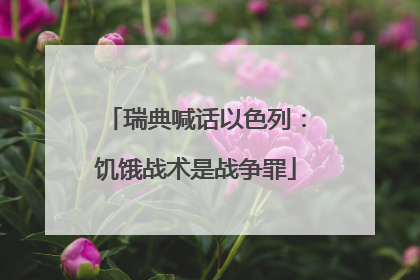 瑞典喊话以色列：饥饿战术是战争罪