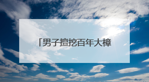男子擅挖百年大樟树，检察护绿让古树“老有所依”