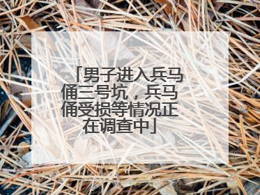 男子进入兵马俑三号坑，兵马俑受损等情况正在调查中