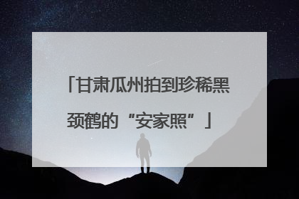 甘肃瓜州拍到珍稀黑颈鹤的“安家照”
