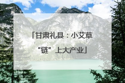 甘肃礼县：小艾草“链”上大产业