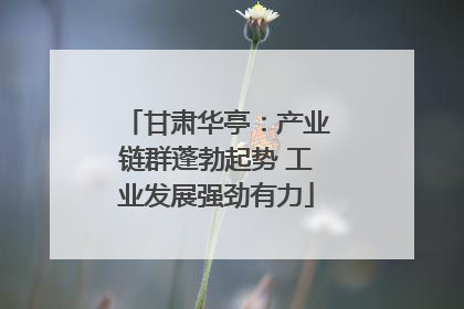 甘肃华亭：产业链群蓬勃起势 工业发展强劲有力