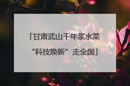 甘肃武山千年浆水菜“科技焕新”走全国