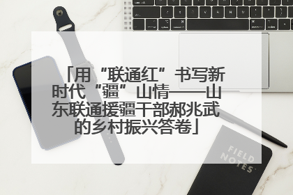 用“联通红”书写新时代“疆”山情——山东联通援疆干部郝兆武的乡村振兴答卷