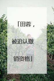 田蓉，被追认撤销资格