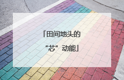 田间地头的“芯”动能