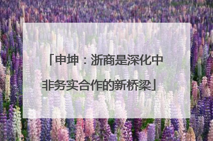 申坤：浙商是深化中非务实合作的新桥梁