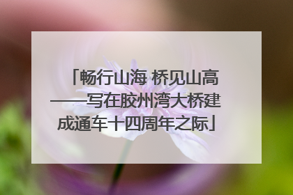 畅行山海 桥见山高——写在胶州湾大桥建成通车十四周年之际