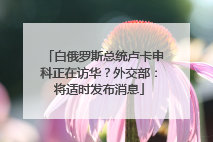 白俄罗斯总统卢卡申科正在访华？外交部：将适时发布消息