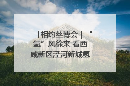 相约丝博会｜“氢”风徐来 看西咸新区泾河新城氢能产业聚链成势