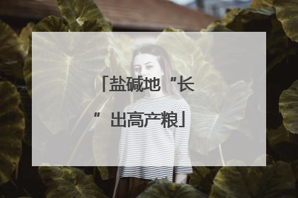 盐碱地“长”出高产粮