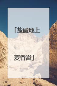 盐碱地上麦香溢