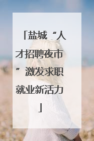 盐城“人才招聘夜市”激发求职就业新活力