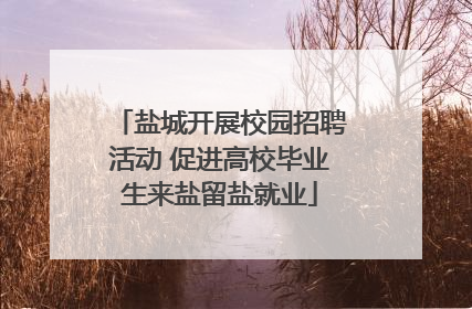 盐城开展校园招聘活动 促进高校毕业生来盐留盐就业