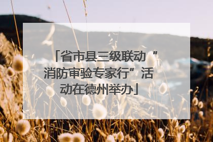 省市县三级联动“消防审验专家行”活动在德州举办