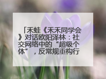 禾蛙《禾禾同学会》对话欧阳泽林：社交网络中的“超级个体”，反常规重构行业生态！
