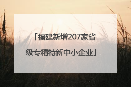 福建新增207家省级专精特新中小企业