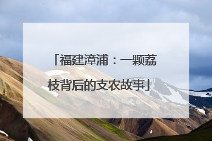 福建漳浦：一颗荔枝背后的支农故事