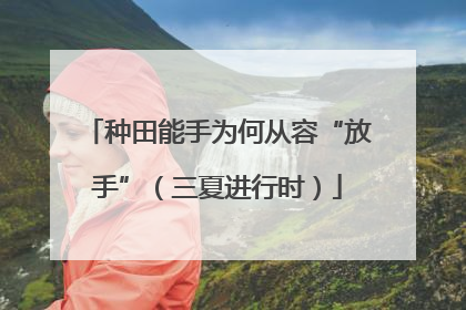 种田能手为何从容“放手”（三夏进行时）