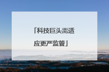 科技巨头需适应更严监管