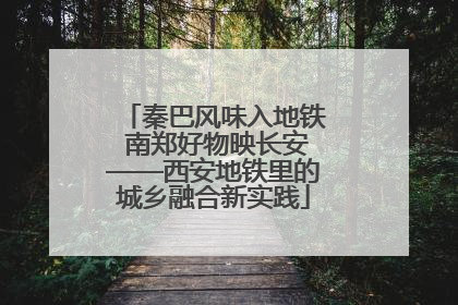秦巴风味入地铁 南郑好物映长安——西安地铁里的城乡融合新实践