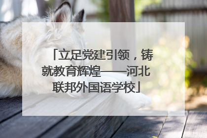 立足党建引领，铸就教育辉煌——河北联邦外国语学校