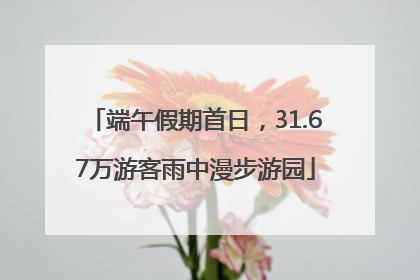端午假期首日，31.67万游客雨中漫步游园