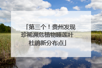 第三个！贵州发现珍稀濒危植物睡莲叶杜鹃新分布点
