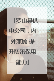 罗山县供电公司：内外兼顾 提升防汛保电能力