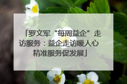 罗文军“每周益企”走访服务：益企走访暖人心 精准服务促发展