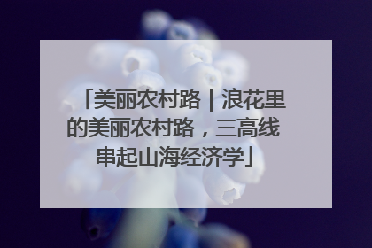 美丽农村路｜浪花里的美丽农村路，三高线串起山海经济学