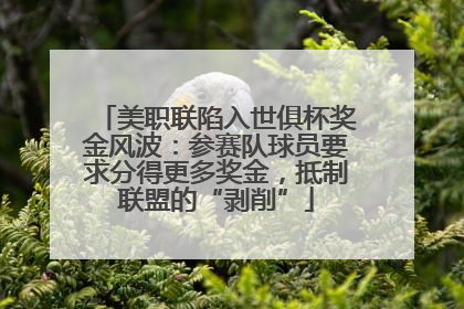 美职联陷入世俱杯奖金风波：参赛队球员要求分得更多奖金，抵制联盟的“剥削”
