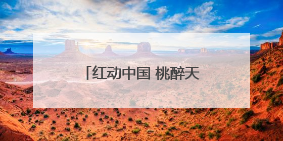 红动中国 桃醉天下——蒙阴蜜桃消费季暨蒙阴蜜桃产业推介会成功举办