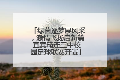 绿茵逐梦展风采，激情飞扬启新篇 宜宾筠连三中校园足球联赛开赛