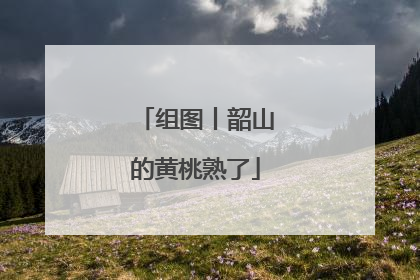 组图丨韶山的黄桃熟了