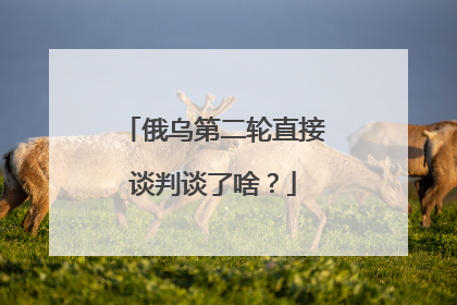 俄乌第二轮直接谈判谈了啥？