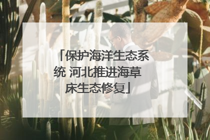 保护海洋生态系统 河北推进海草床生态修复