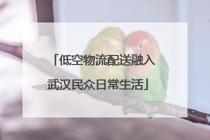 低空物流配送融入武汉民众日常生活