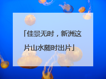 佳景无时，新洲这片山水随时出片
