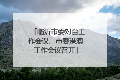 临沂市委对台工作会议、市委港澳工作会议召开