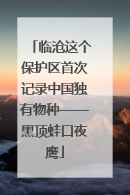 临沧这个保护区首次记录中国独有物种——黑顶蛙口夜鹰