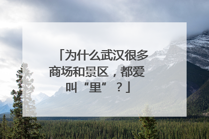 为什么武汉很多商场和景区，都爱叫“里”？