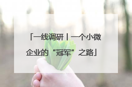 一线调研丨一个小微企业的“冠军”之路