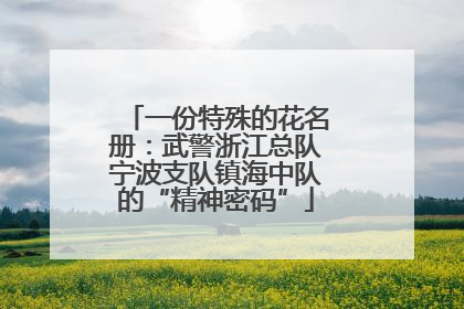 一份特殊的花名册：武警浙江总队宁波支队镇海中队的“精神密码”