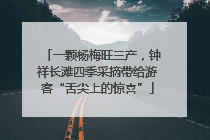 一颗杨梅旺三产，钟祥长滩四季采摘带给游客“舌尖上的惊喜”