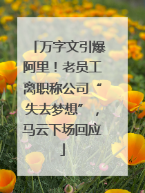 万字文引爆阿里！老员工离职称公司“失去梦想”，马云下场回应