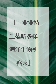 三亚亚特兰蒂斯多样海洋生物引客来