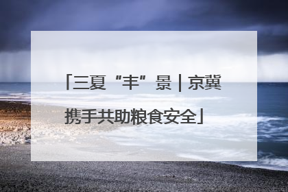 三夏“丰”景｜京冀携手共助粮食安全