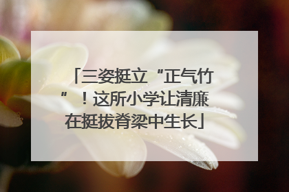 三姿挺立“正气竹”！这所小学让清廉在挺拔脊梁中生长