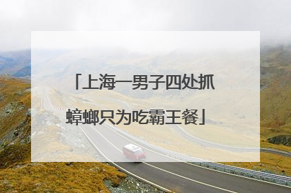 上海一男子四处抓蟑螂只为吃霸王餐